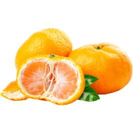 برتقال (2)