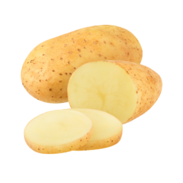 بطاطس