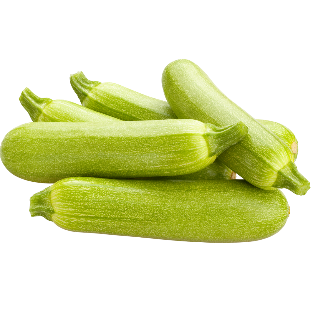 كوسه كوسه